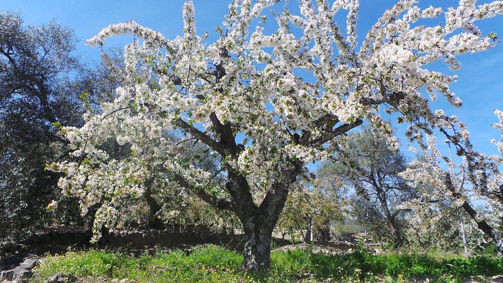 Águeda del Caudillo Apartamentos El Capricho المظهر الخارجي الصورة